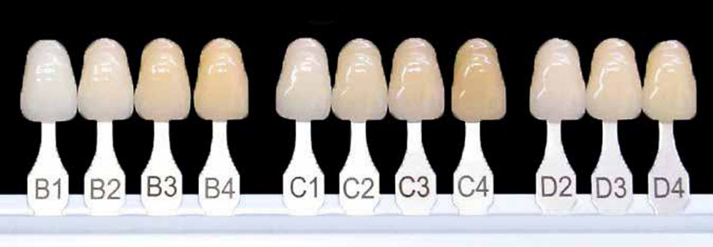 Teeth shade guide comparing tooth discolouration